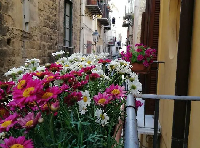 Casa Nel Vicolo *
